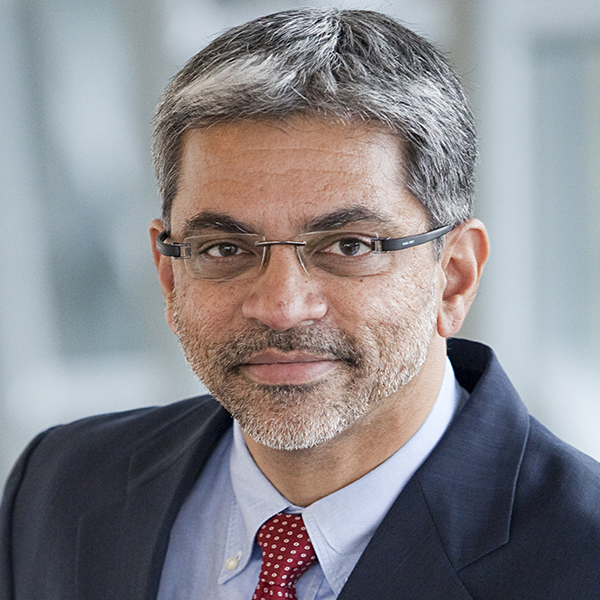 Narayan Pant,The Raoul de Vitry d'Avaucourt Chaired Professor of Leadership Development, INSEAD