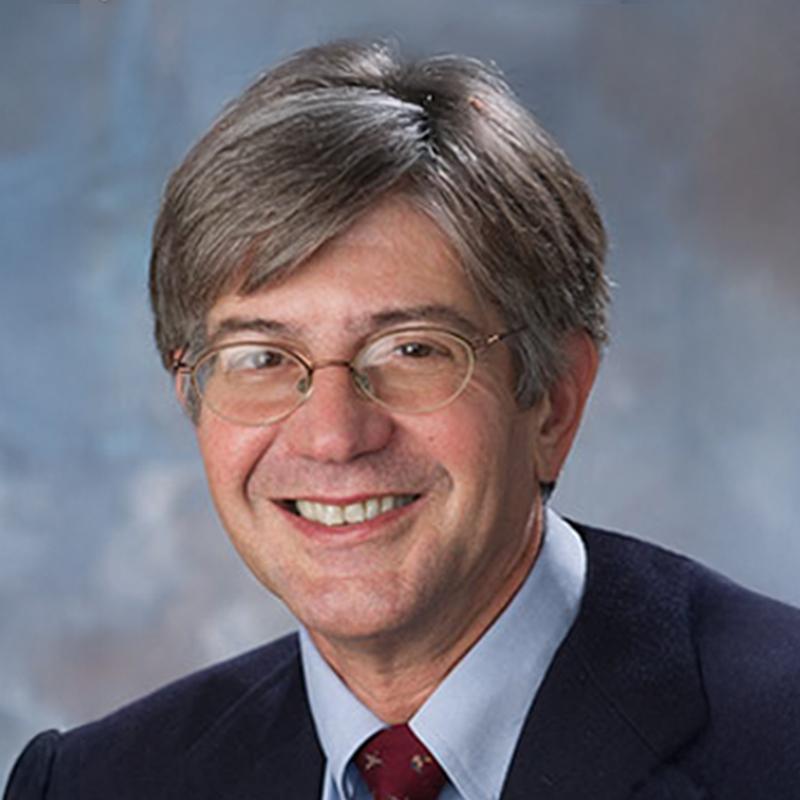James Steinberg Dean, Johns Hopkins University, School of Advanced International Studies (SAIS)
